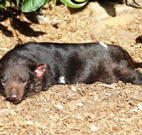 Symbio Wildlife Park - Tourism Guide