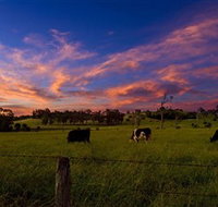 Made in Macarthur Food and Wine Tours - Tourism Guide