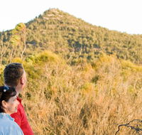 Piles Creek loop - Tourism Guide