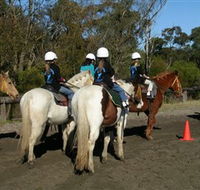 Darkes Forest Riding Ranch - Tourism Guide