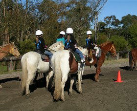 Darkes Forest Riding Ranch - Tourism Guide 0