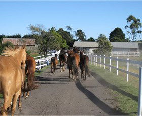 Darkes Forest Riding Ranch - Tourism Guide 1