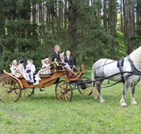 Classic Carriage Drives - Tourism Guide