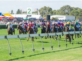 Morphettville Racecourse - Tourism Guide 0