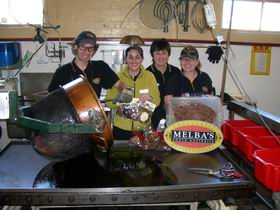 Melba's Chocolate And Confectionery Factory - Tourism Guide 1