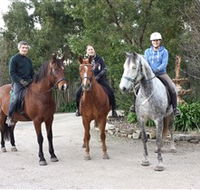 Academy of Dressage - Tourism Guide