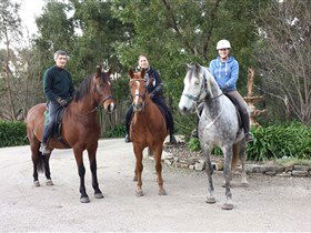 Academy Of Dressage - Tourism Guide 0