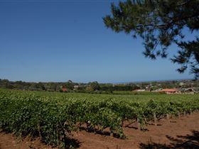 Onkaparinga Hills SA Tourism Guide