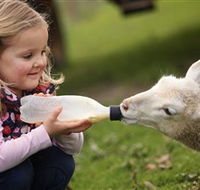 Hahndorf Farm Barn - Tourism Guide