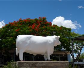 Aramac - The White Bull - Travel Search 1