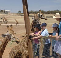 Monarto Open Range Zoo - Tourism Guide