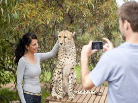 Monarto Open Range Zoo - Cruises Travel 1