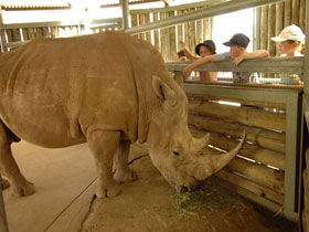 Monarto Open Range Zoo - Cruises Travel 2
