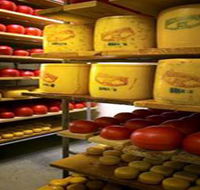Alexandrina Cheese Company - Tourism Guide