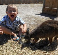 Animal Farm Goolwa - Tourism Guide