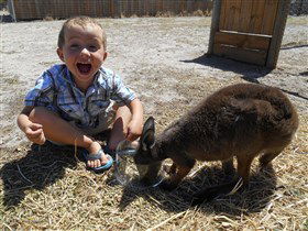 Animal Farm Goolwa - Tourism Guide 0