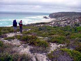 Seal Bay SA Tourism Guide