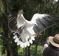 Raptor Domain - Tourism Guide