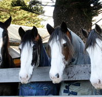Victor Harbor Horse Drawn Tramway - Tourism Guide