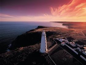 Willoughby SA Cruises Travel