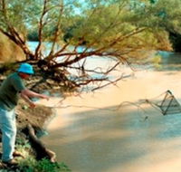 Charleville - Ward River Fishing Spot - Tourism Guide