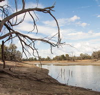 Toorale National Park - Tourism Guide