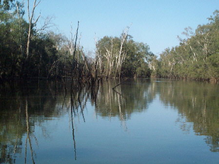 Charleville - 18 Mile Warrego River Fishing - Travel Agents 1