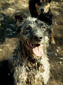 Charleville - 18 Mile Warrego River Fishing - Travel Agents 3