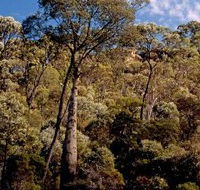 Ka Ka Mundi Carnarvon National Park - Tourism Guide
