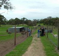 Avenue Emus - Tourism Guide