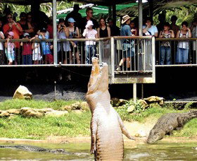 Crocodylus Park - Tourism Guide 0
