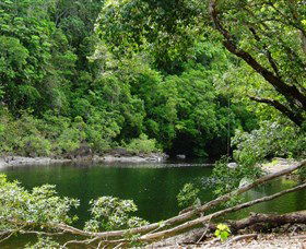 Broadwater, Abergowrie State Forest - Travel Agents 0