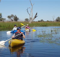 Marsh Meanders - Cruises Travel