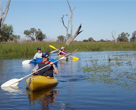 Marsh Meanders - Tourism Guide 0