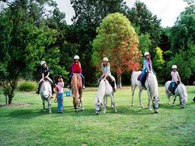 Limestone Coast Horseriding - Tourism Guide 0
