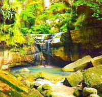 Carnarvon Gorge Carnarvon National Park - Tourism Guide