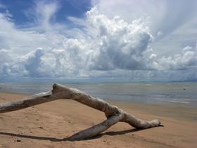 Toolakea QLD Tourism Guide