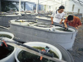 James Cook University Of North Queensland - Travel Agents 0