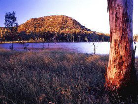 Nuga Nuga National Park And Lake Nuga Nuga - Tourism Guide 2
