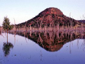 Nuga Nuga National Park And Lake Nuga Nuga - Tourism Guide 3