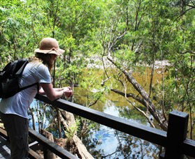 Mount Elliot, Bowling Green Bay National Park - Travel Agents 1