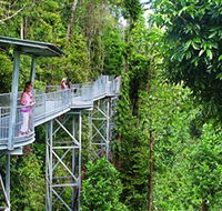 Mamu Tropical Skywalk - Tourism Guide