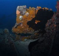 Lady Bowen Dive Site - Cruises Travel