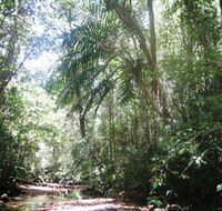 Mount Lewis National Park - Tourism Guide