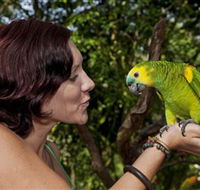 Birdworld Kuranda - Cruises Travel
