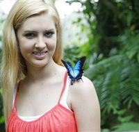 Australian Butterfly Sanctuary - Cruises Travel
