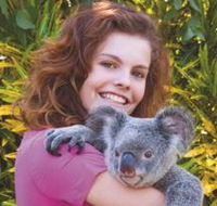 Kuranda Koala Gardens - Cruises Travel