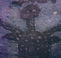 Quinkan Reserves Ancient Rock Art - Tourism Guide
