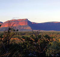 Blackdown Tableland National Park - Tourism Guide