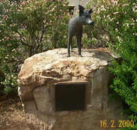 Dingo Statue - Tourism Guide